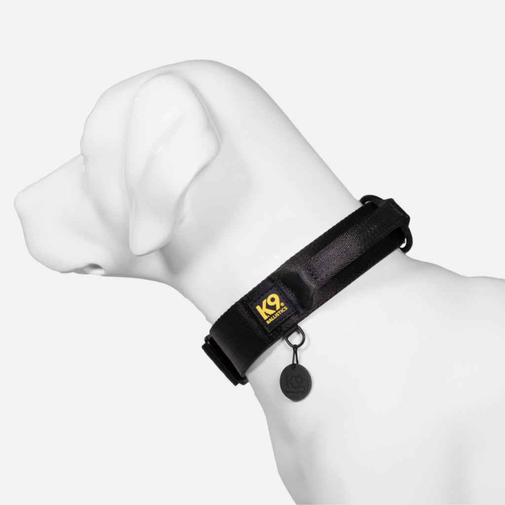 Dog Collar product image 3