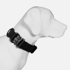 Dog Collar product image 4