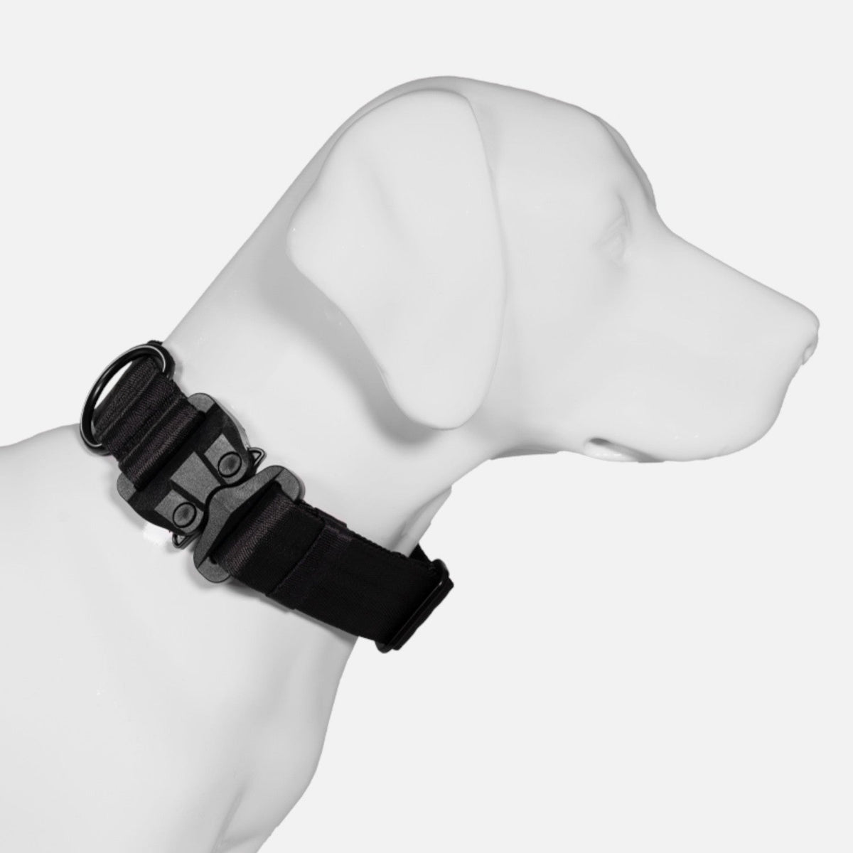 Dog Collar product image 4