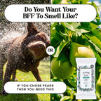 Deodorizing Pet Wipes product image 9