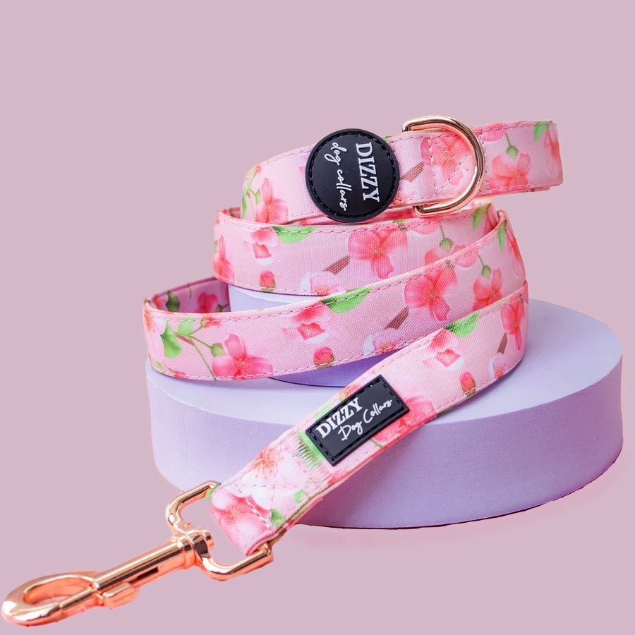 Padded Dog Leash product image 1