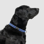 Climbing Rope Slip-On Dog Collar product image 6
