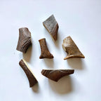 Moose Antler Dog Chew Assortment product image 10