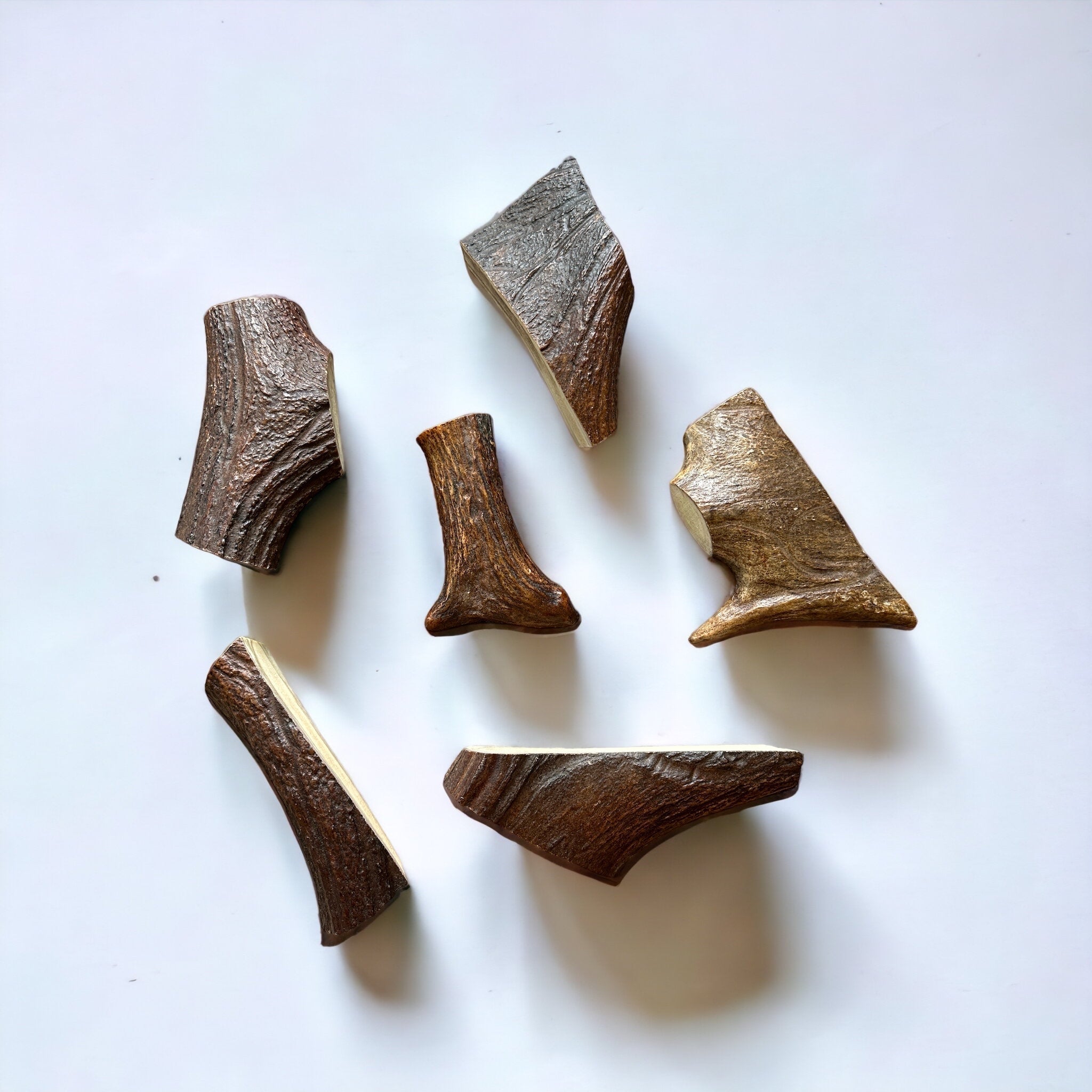 Moose Antler Dog Chew Assortment product image 10