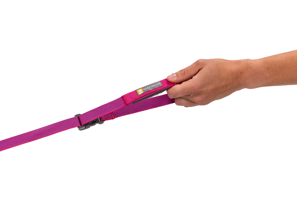 Hands-Free Dog Leash product image 50