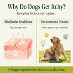 Organic Dog Shampoo product image 2