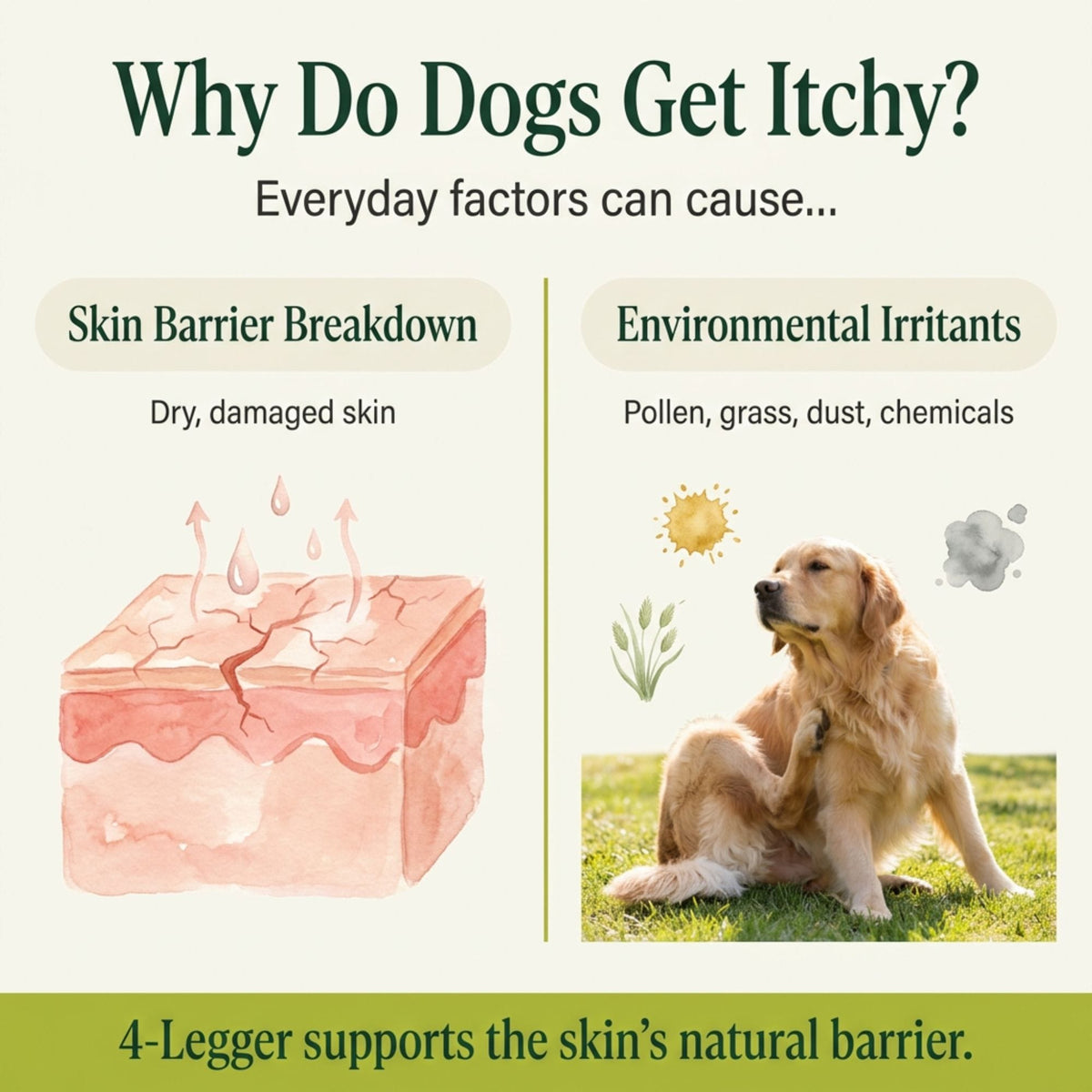 Organic Dog Shampoo product image 2