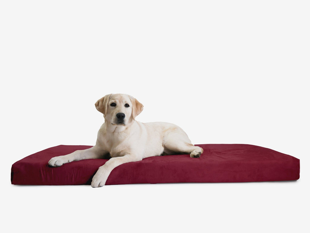 Orthopedic Dog Crate Bed product image 21