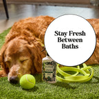 Dog Coat Refresher Spray product image 3