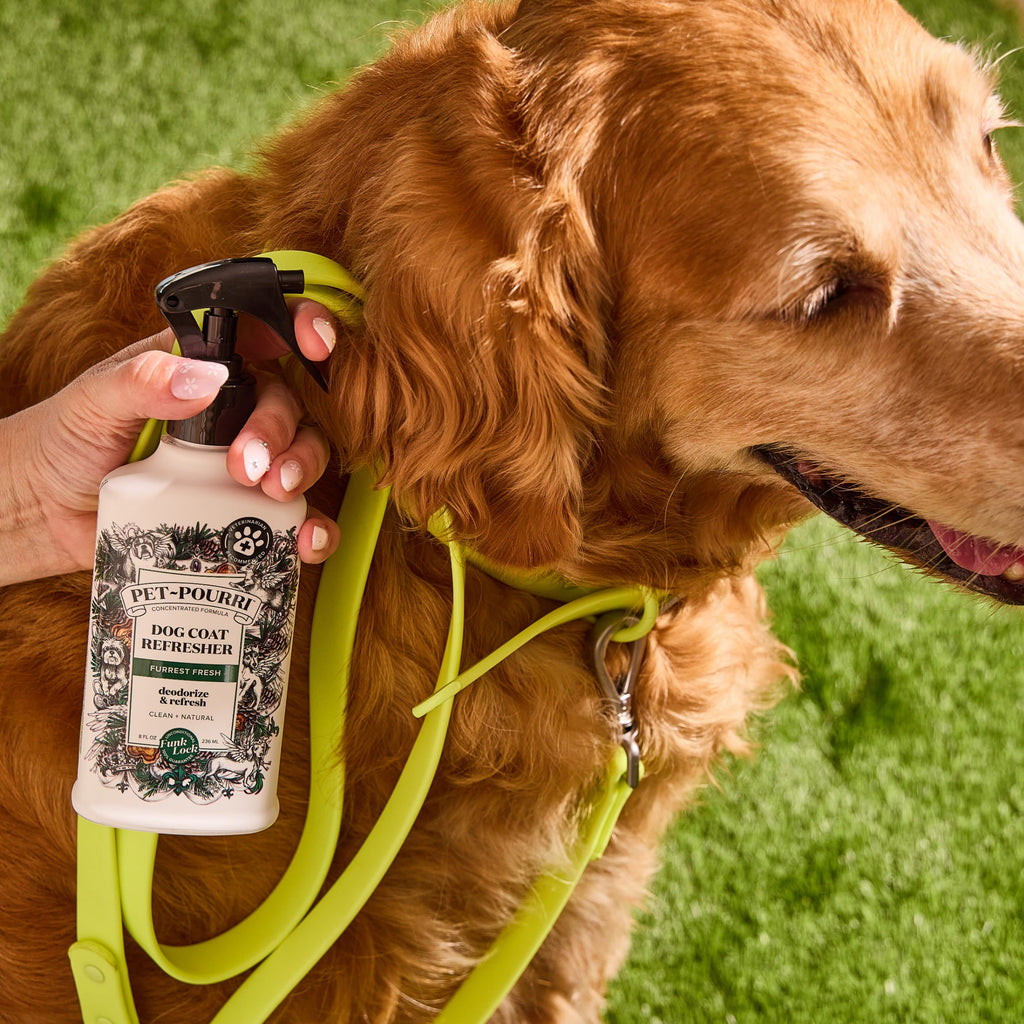 Dog Coat Refresher Spray product image 8