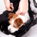 Pet Carrier Backpack product image 11