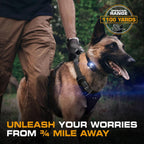 Dog Training Collar product image 5