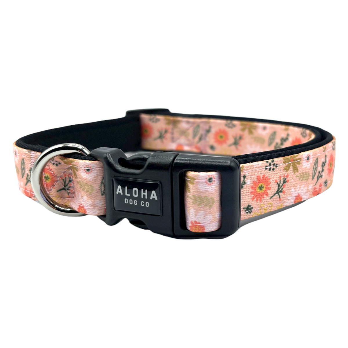 Padded Dog Collar product image 1