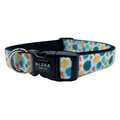 Dog Collar product image 1