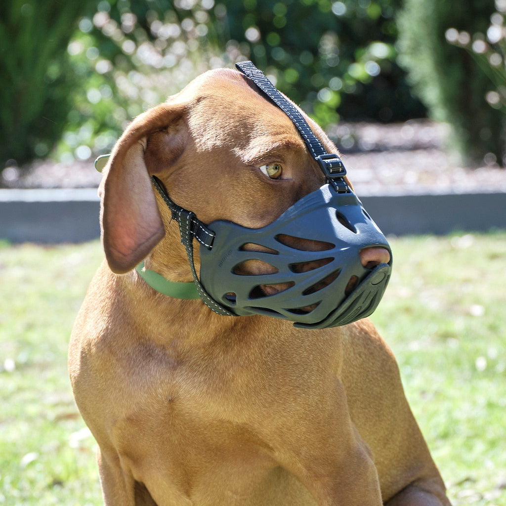 Dog Muzzle product image 2