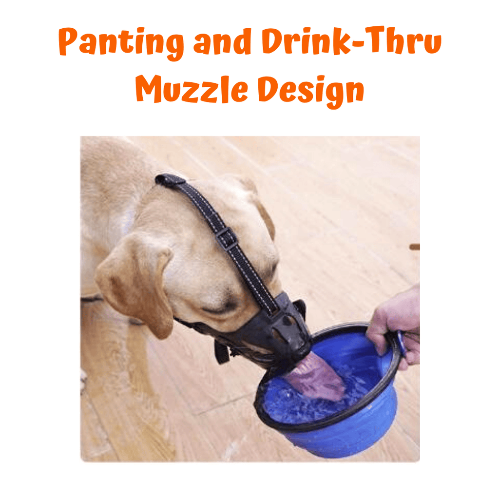 Dog Muzzle product image 11