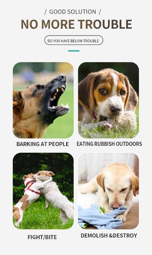 Dog Muzzle product image 13