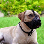 Dog Muzzle product image 17
