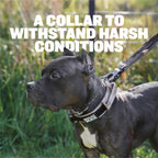 Tactical Dog Collars (Desert Camo) product image 2