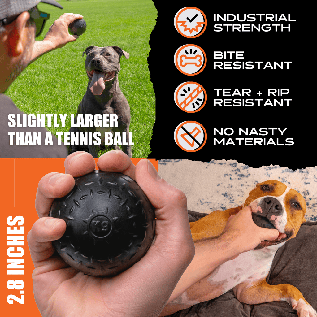 Dog Toys product image 3