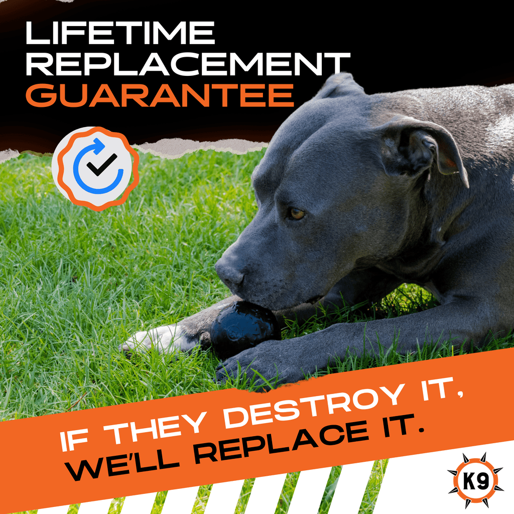 Dog Toys product image 4
