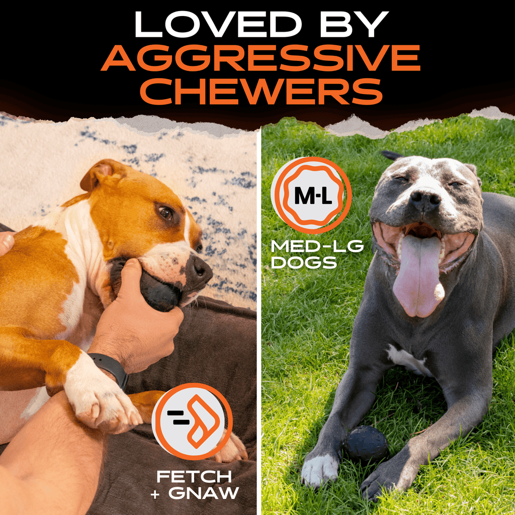 Dog Toys product image 5