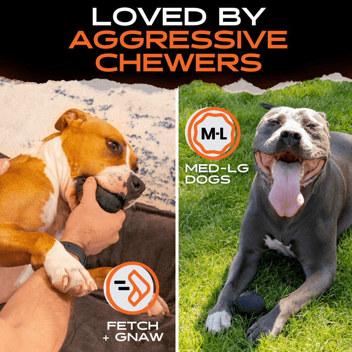 Dog Toys product image 5