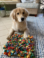 Snuffle Mat product image 1