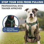No-Pull Dog Harness Walking Set product image 31