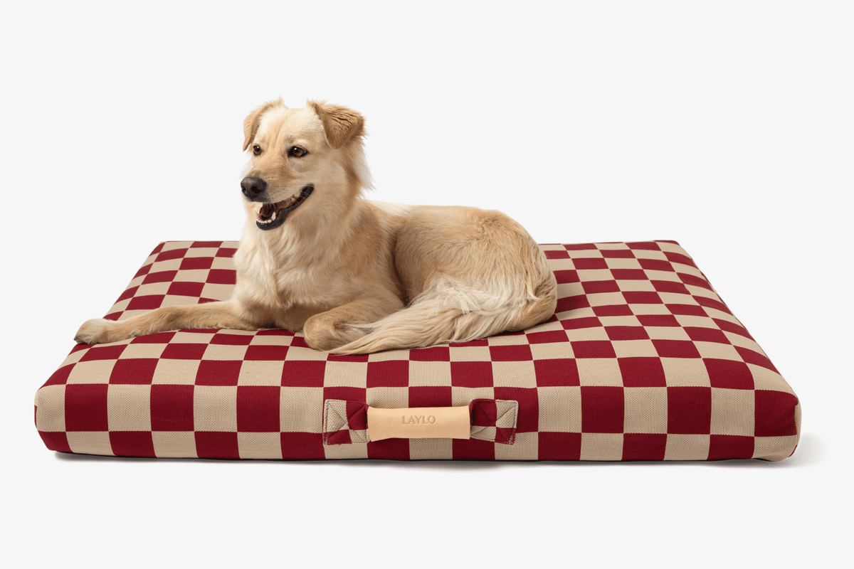 Dog Bed product image 2