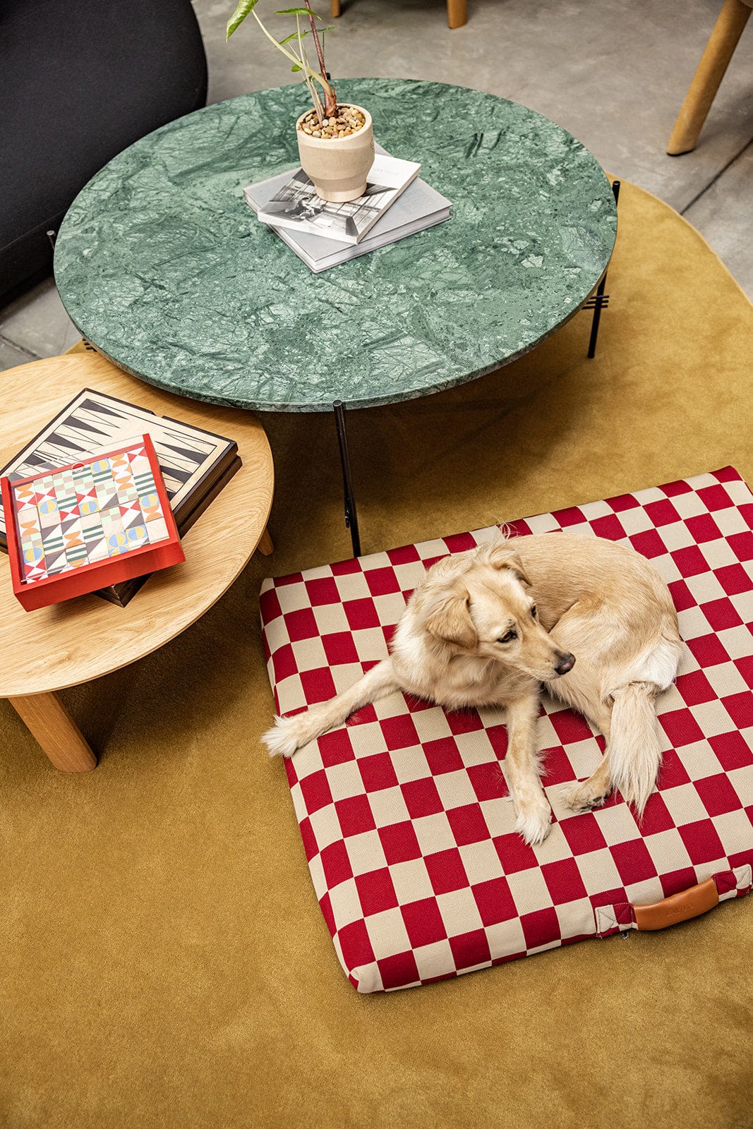 Dog Bed product image 4