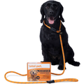 Rope Slip Dog Lead product image 1