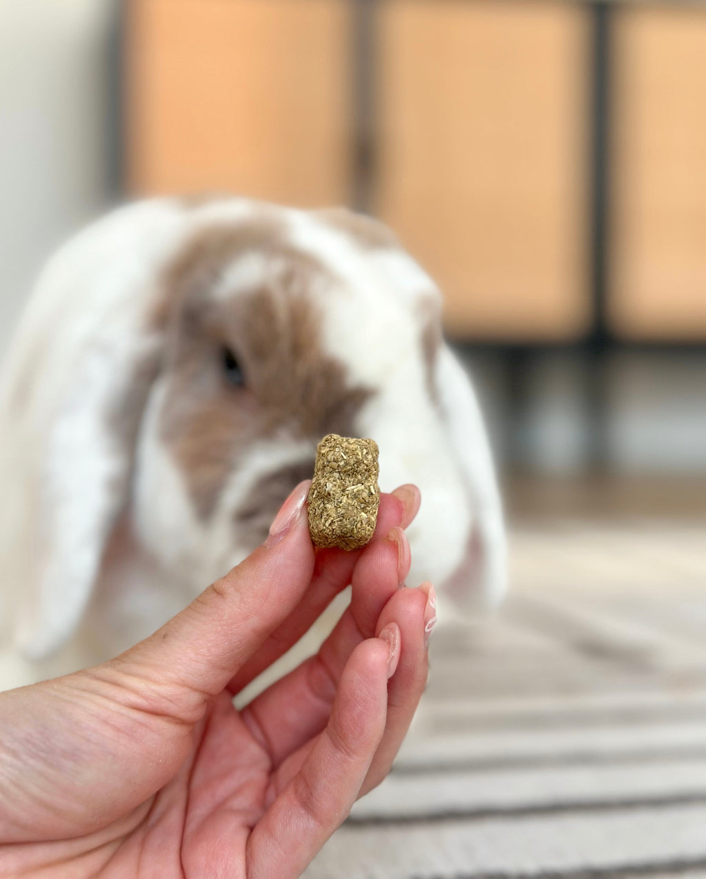 Small Animal Treat Bundle product image 5