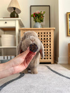 Small Animal Treat Bundle product image 6
