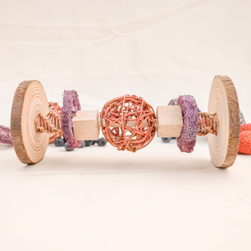 Small Animal Treat Roller product image 1