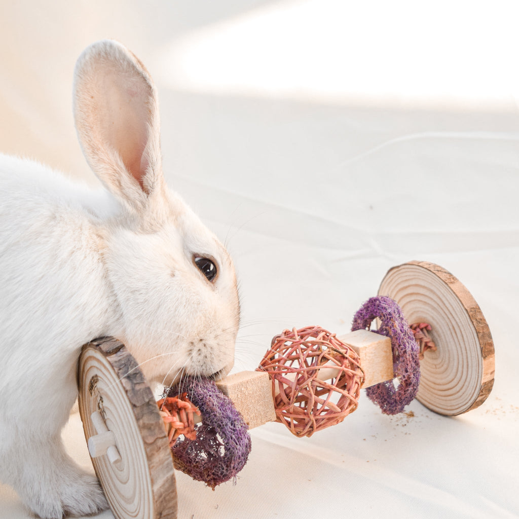 Small Animal Treat Roller product image 3