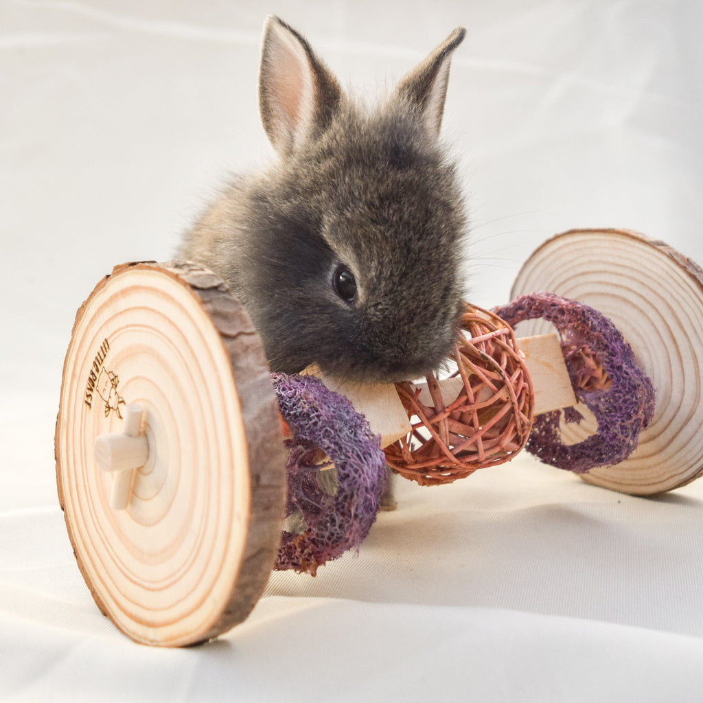 Small Animal Treat Roller product image 7