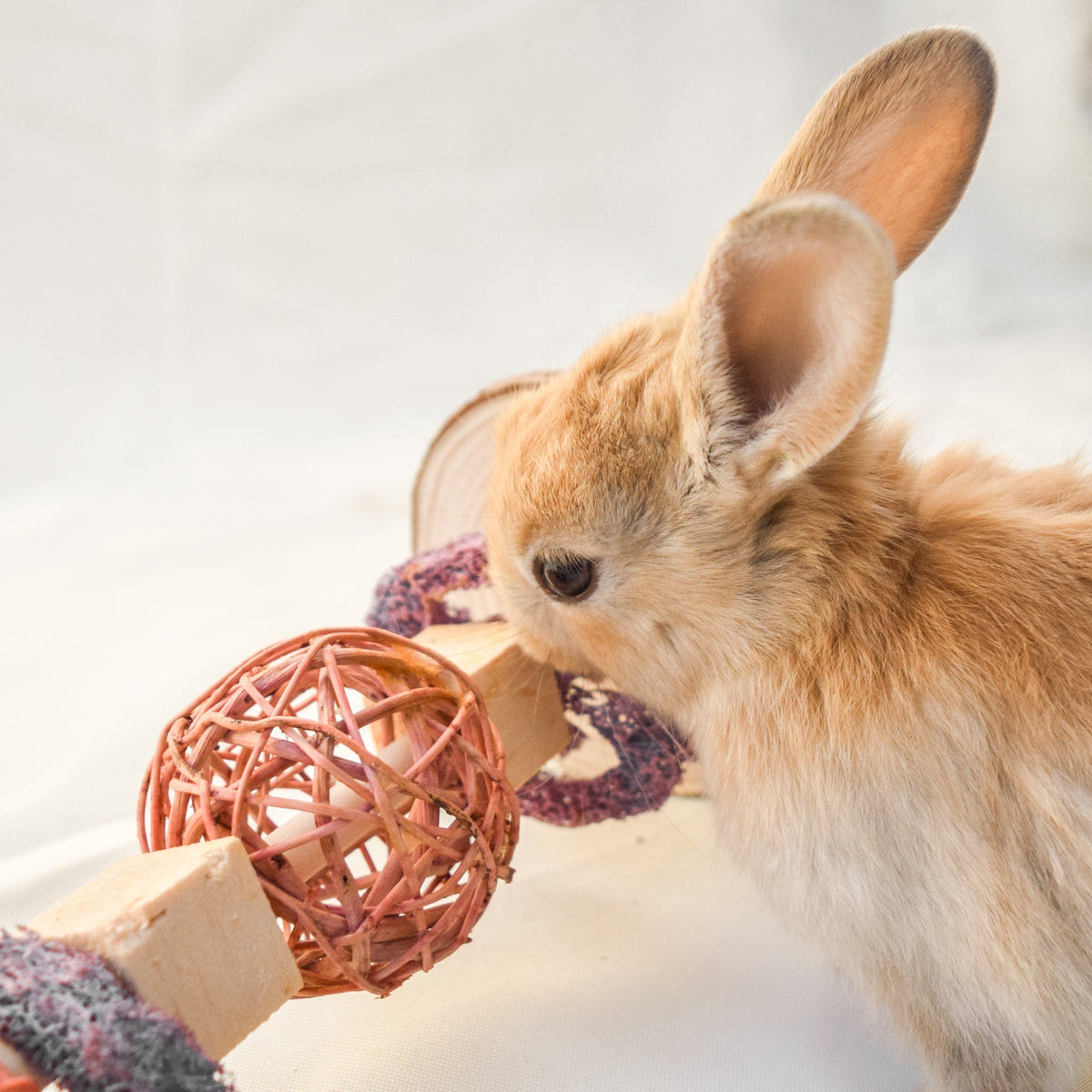 Small Animal Treat Roller product image 9