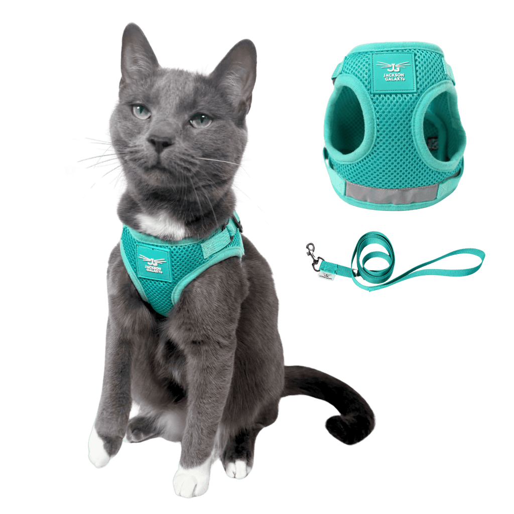 Cat Harness Set product image 1