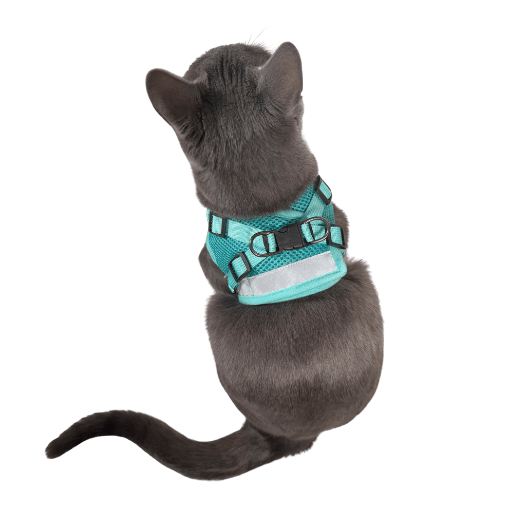 Cat Harness Set product image 4