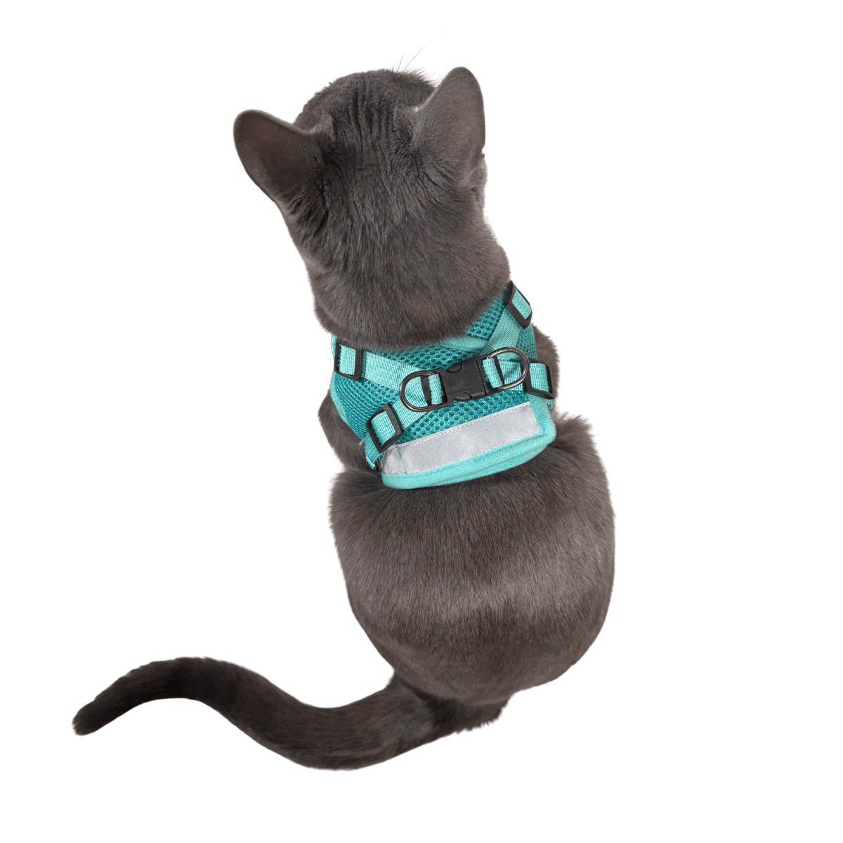 Cat Harness Set product image 4