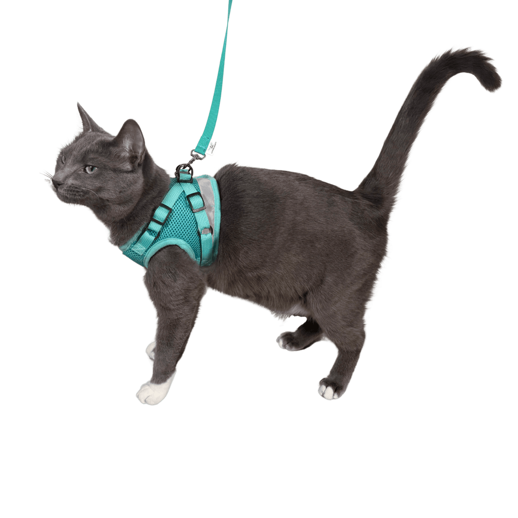 Cat Harness Set product image 5
