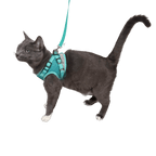 Cat Harness Set product image 5