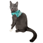 Cat Harness Set product image 6