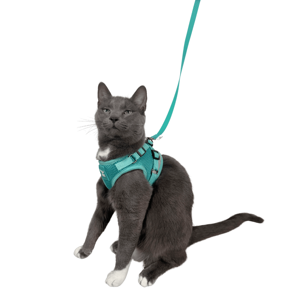 Cat Harness Set product image 9