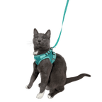 Cat Harness Set product image 9