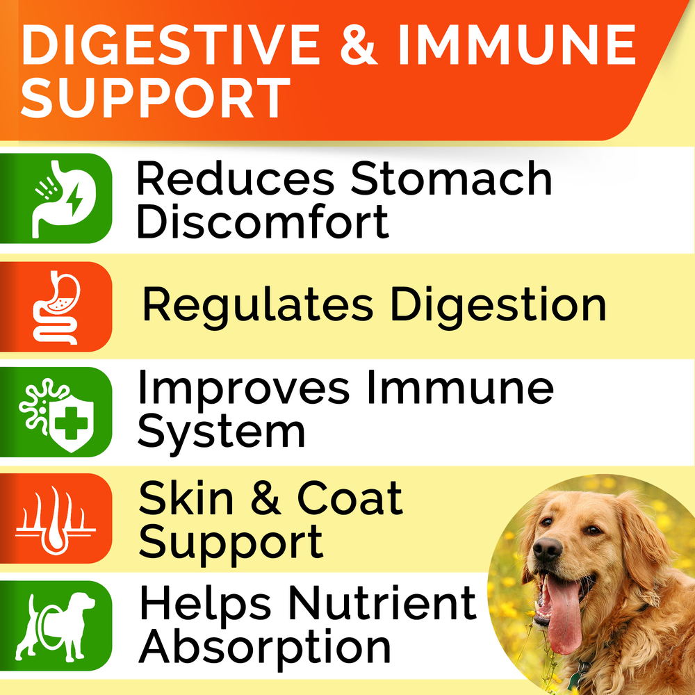 Dog Probiotic Chews product image 2