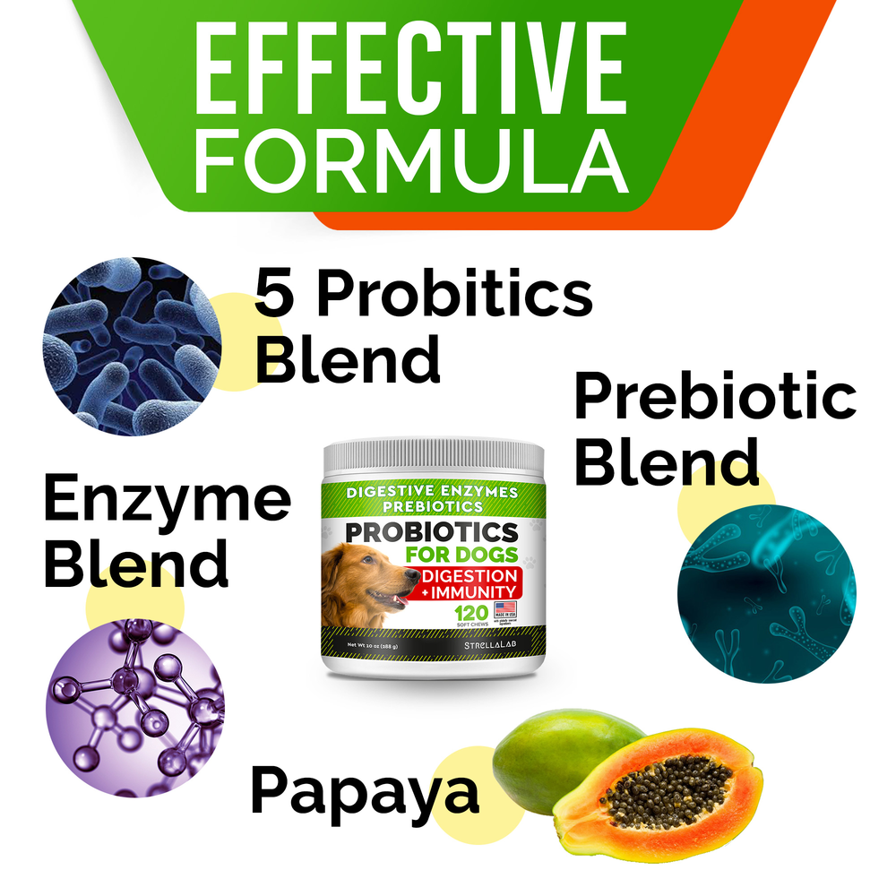 Dog Probiotic Chews product image 4