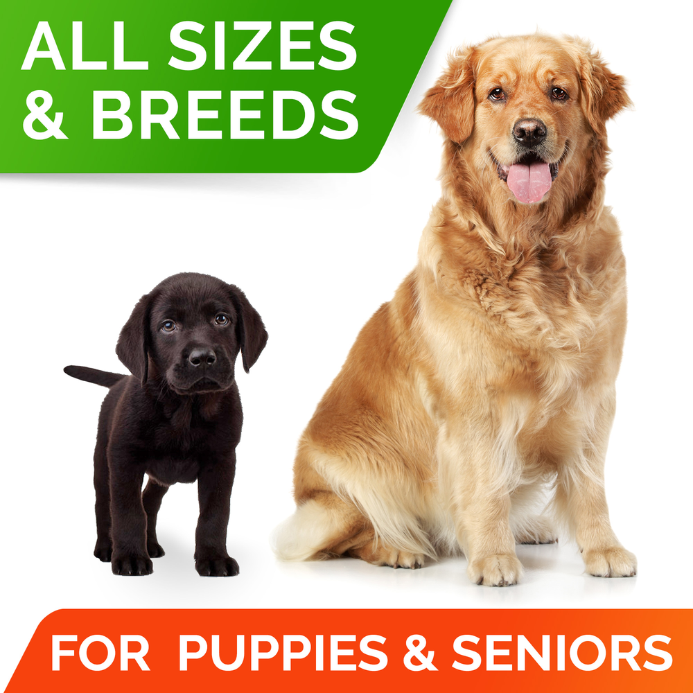 Dog Probiotic Chews product image 7