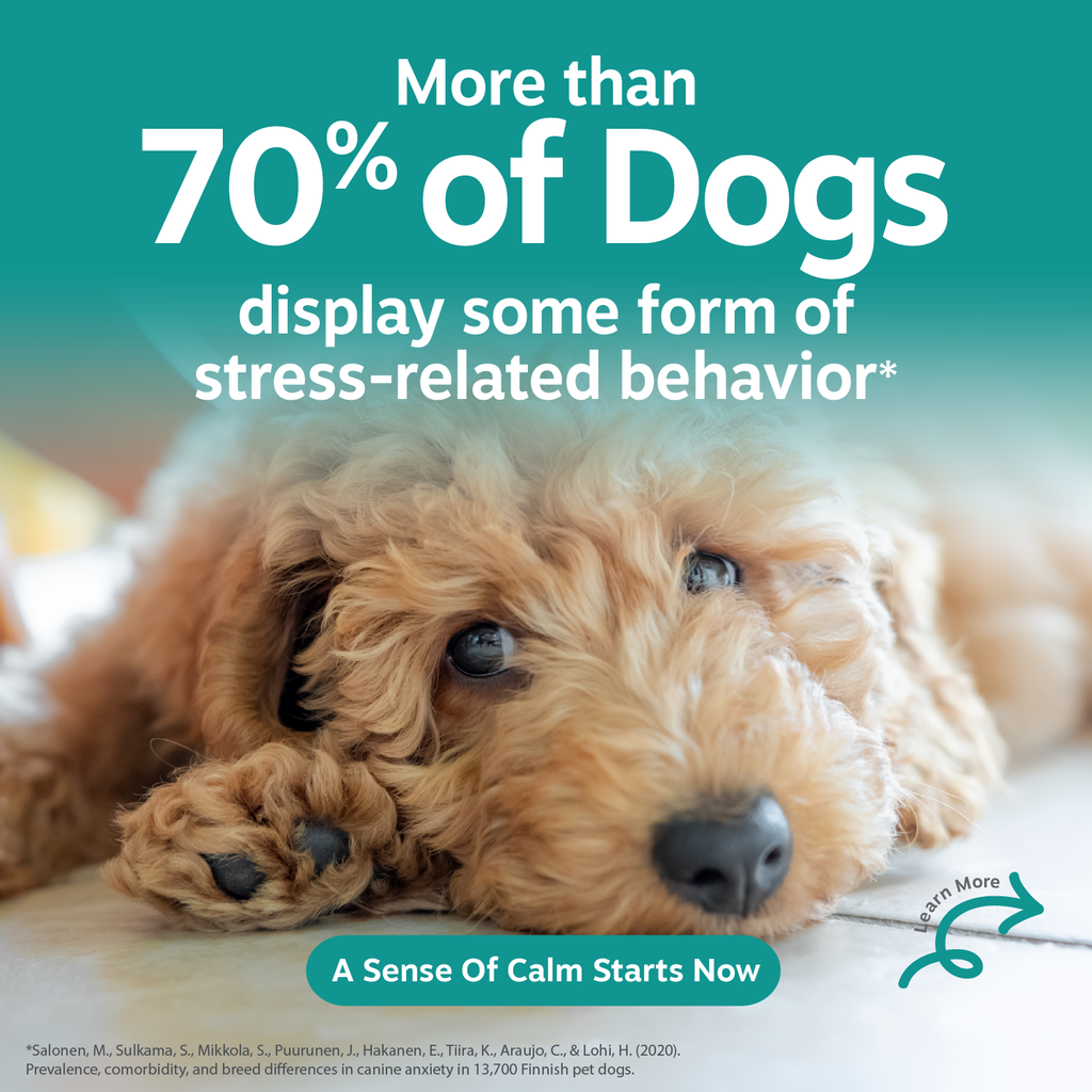 Dog Calming Supplement product image 2